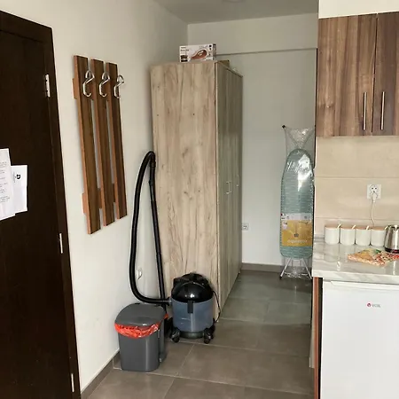 Apartment Velickovic Soko Banja