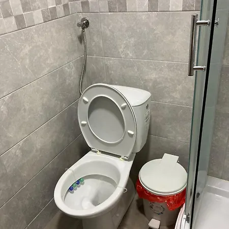 Apartment Velickovic Soko Banja