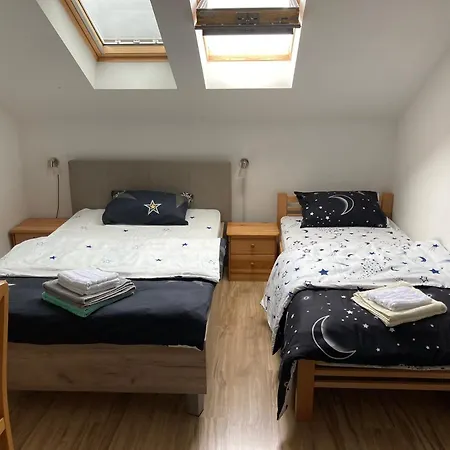 Apartment Velickovic Soko Banja