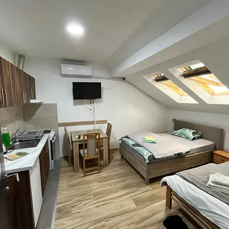 Velickovic Apartment Soko Banja