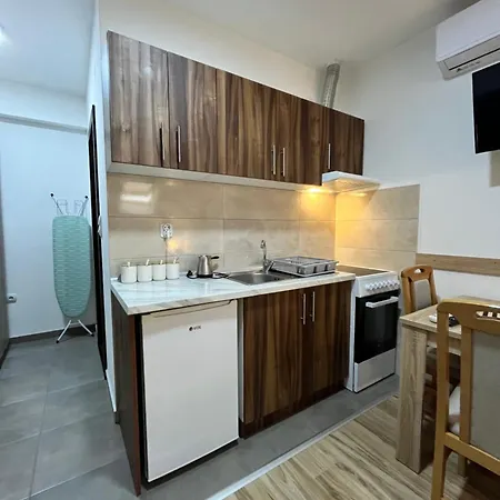 Velickovic Soko Banja