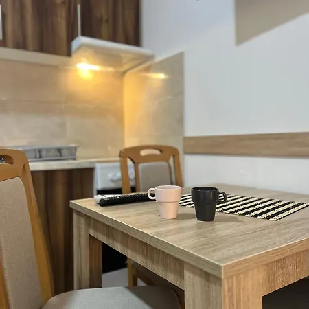 Apartment Velickovic Soko Banja