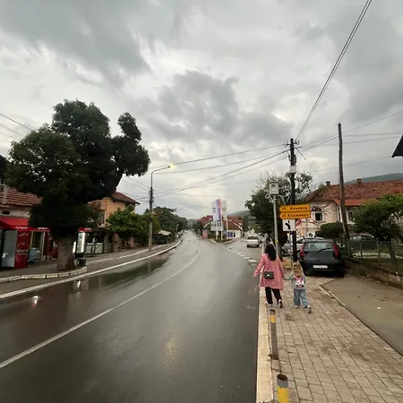 Apartment Velickovic Soko Banja